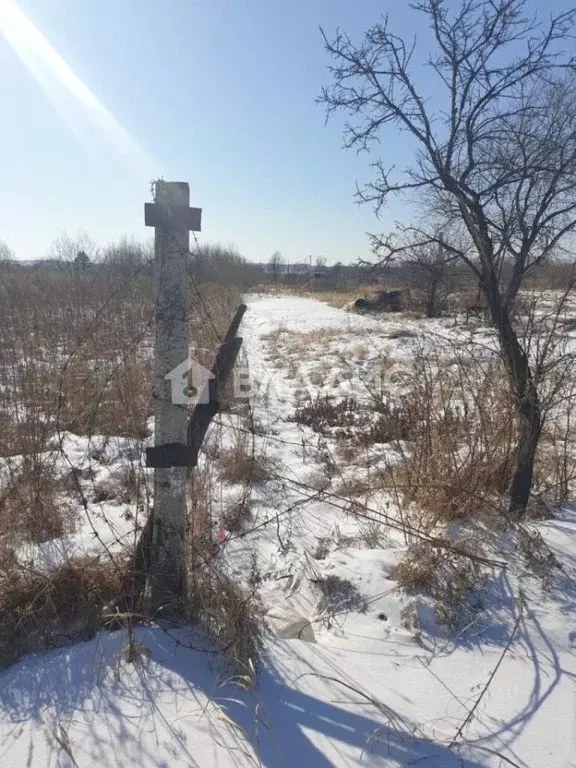 Участок в Приморский край, Уссурийск ул. Некрасова (11.0 сот.) - Фото 1