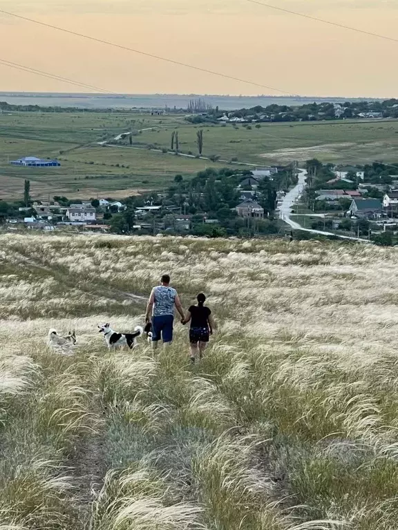 Участок в Крым, Феодосия муниципальный округ, с. Южное ул. Яны-Даг ... - Фото 2