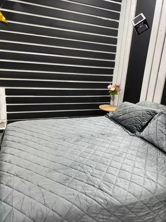 Студия Алтай, Майминский район, с. Майма ул. Ленина, 59 (32.0 м) - Фото 1