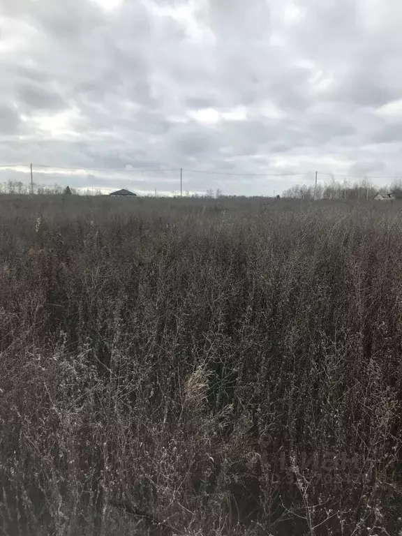 Участок в Московская область, Зарайск Зарайск муниципальный округ, ул. ... - Фото 1