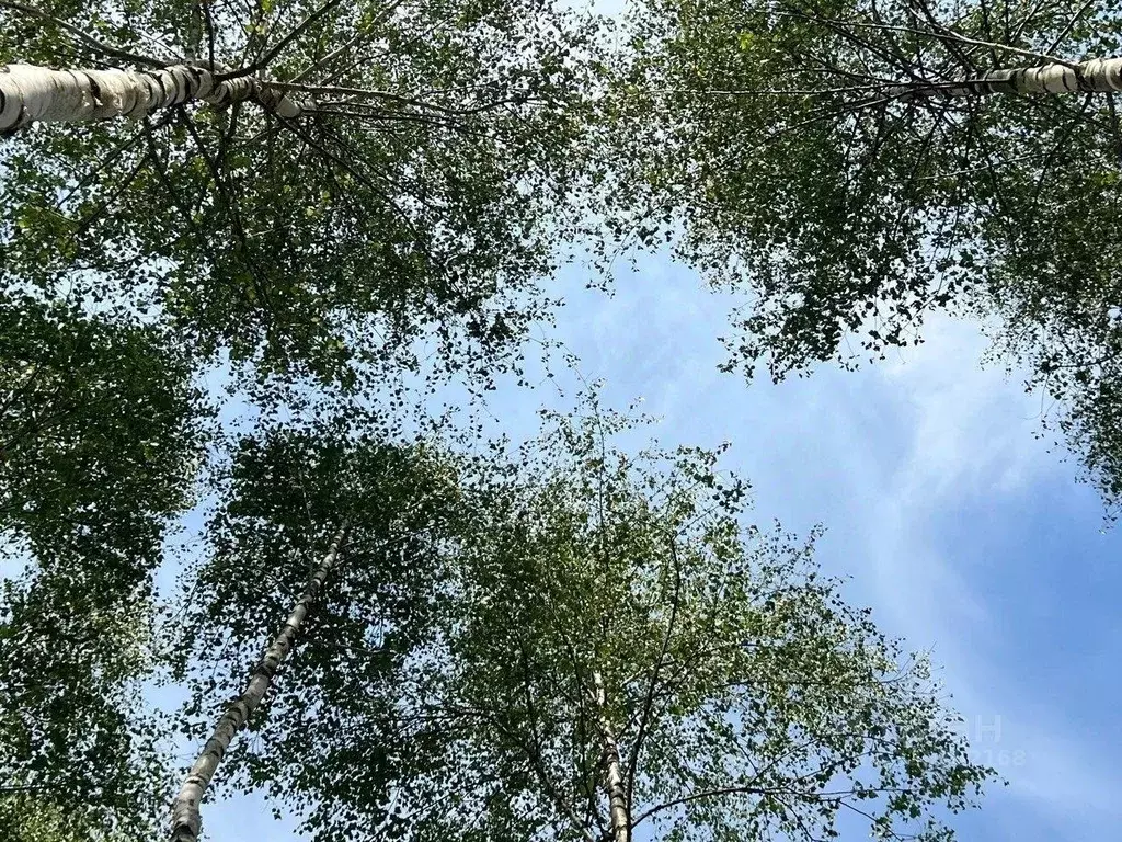 Участок, 4.3 сот., поселения (ижс) - Фото 2