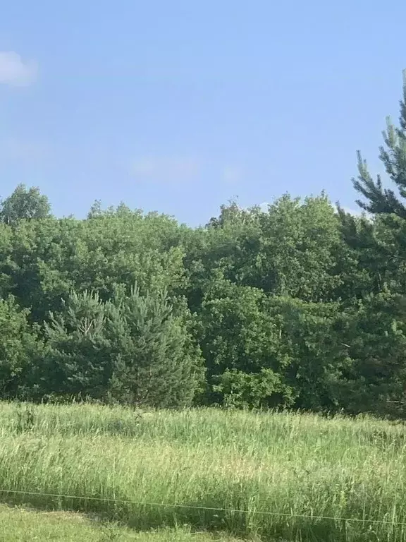 Участок в Новосибирская область, Бердск ул. Германа Титова (20.0 сот.) - Фото 1