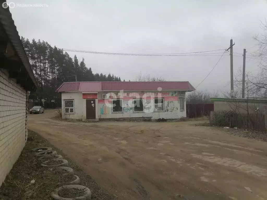 Дом в Орёл, СНТ Мир (80 м) - Фото 1