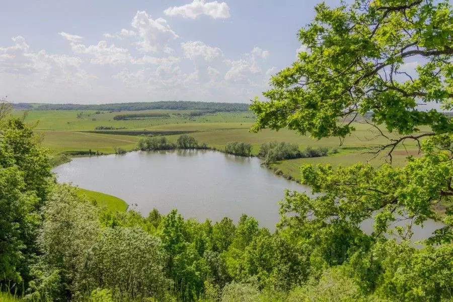 Участок в Татарстан, Зеленодольский район, с. Русско-Марийские Ковали  ... - Фото 1