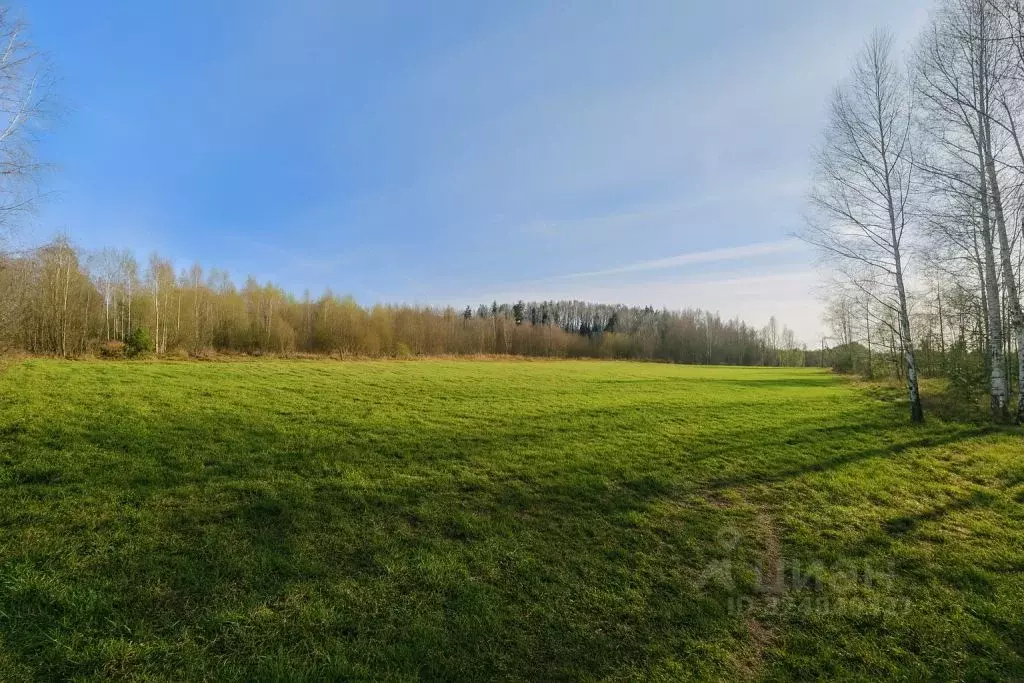Участок в Московская область, Рузский муниципальный округ, д. Лобково ... - Фото 2