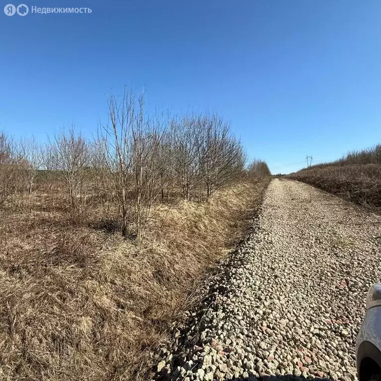 Участок в Ленинградская область, Гатчинский муниципальный округ, ... - Фото 2