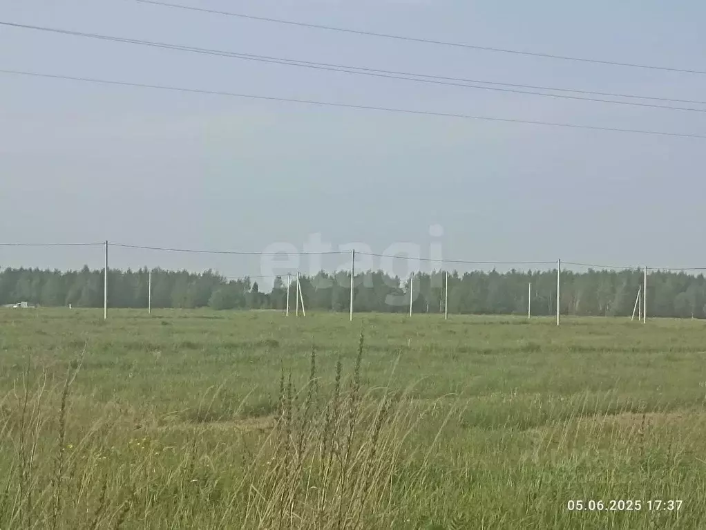 Участок в Костромская область, Кострома  (10.09 сот.) - Фото 2