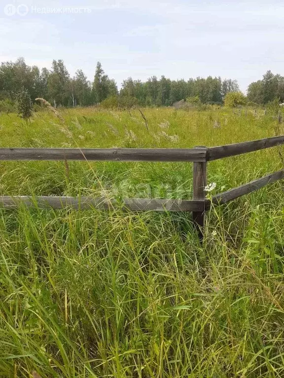 Участок в Тюменская область, Ялуторовский муниципальный округ, поселок ... - Фото 1