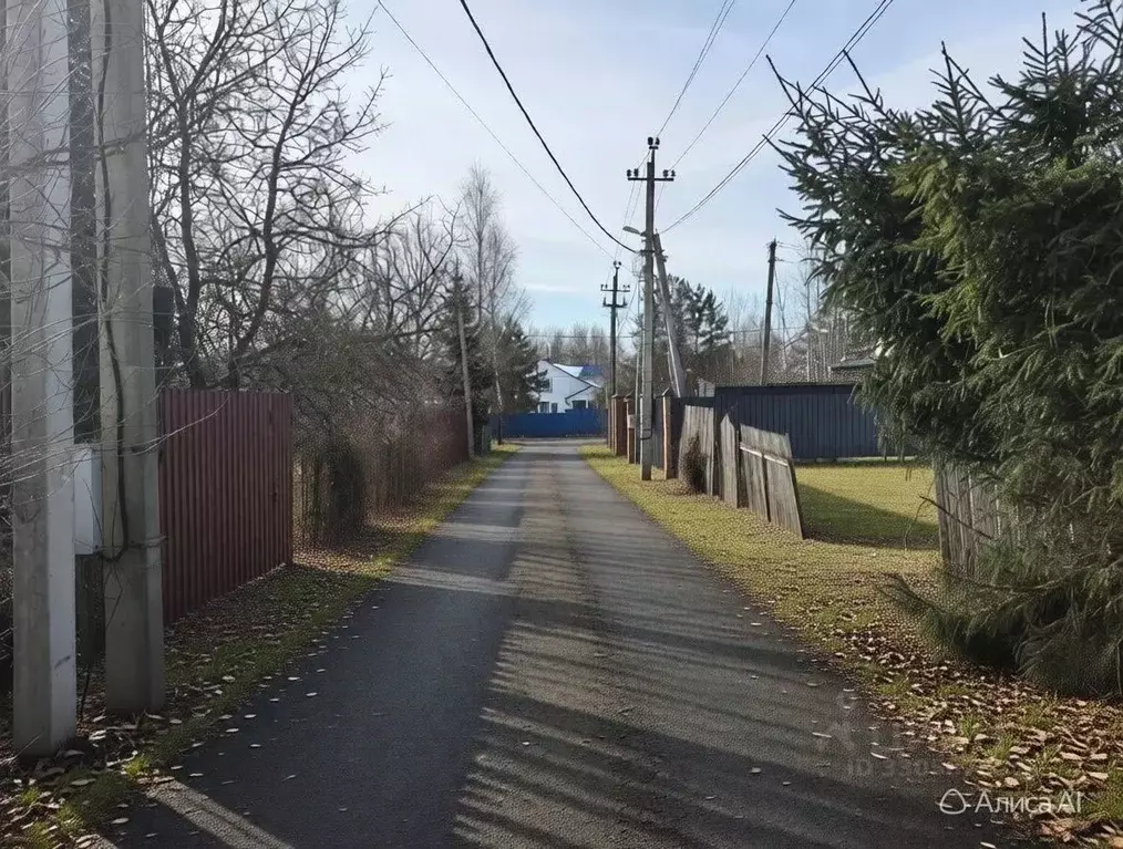 Участок в Московская область, Щелково городской округ, Горизонт СНТ 23 ... - Фото 2