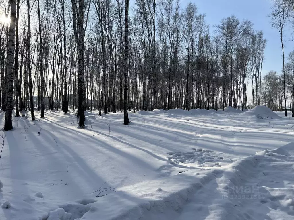 Участок в Новосибирская область, Новосибирский район, Криводановский ... - Фото 2