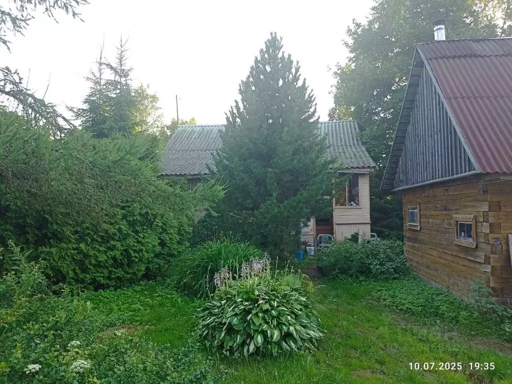 Дом в Новгородская область, Окуловский муниципальный район, Турбинное ... - Фото 2