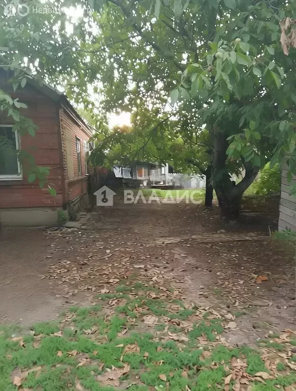 Участок в Братковское, Северная улица, 25 (30 м) - Фото 2