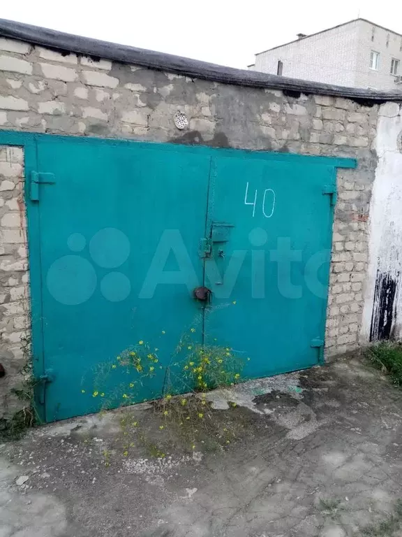 Авито Лиски Частные Объявления С Фото