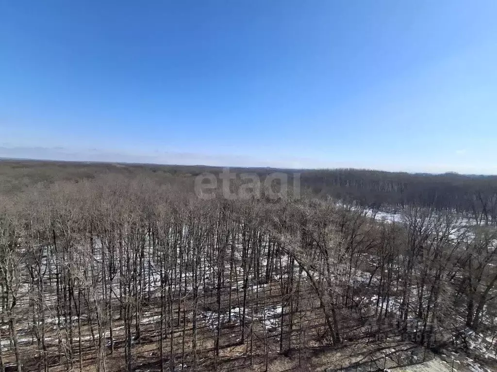 2-к кв. Курская область, Курск ул. Энгельса, 158к1 (64.2 м) - Фото 1