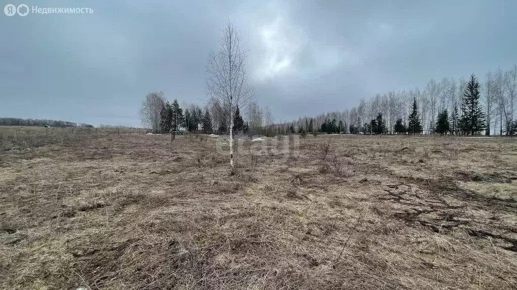 Участок в село Суслово, улица Гагарина (20 м) - Фото 1