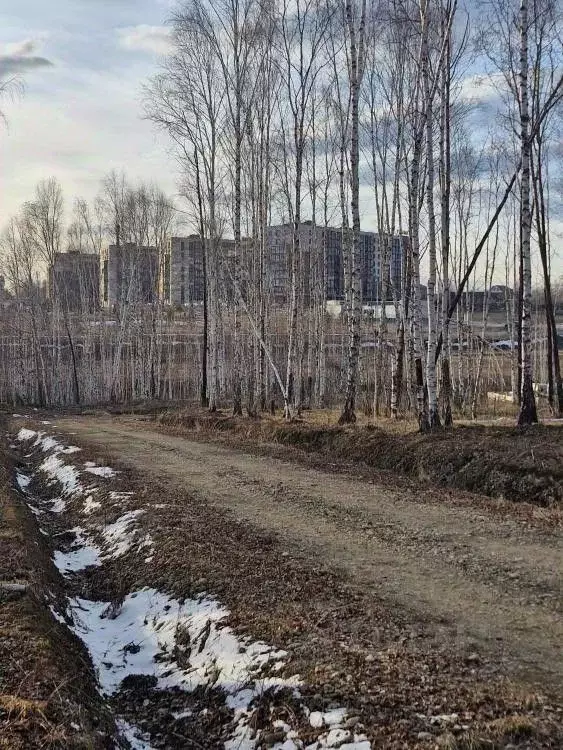 Участок в Иркутская область, Иркутский муниципальный округ, пос. Новая ... - Фото 2