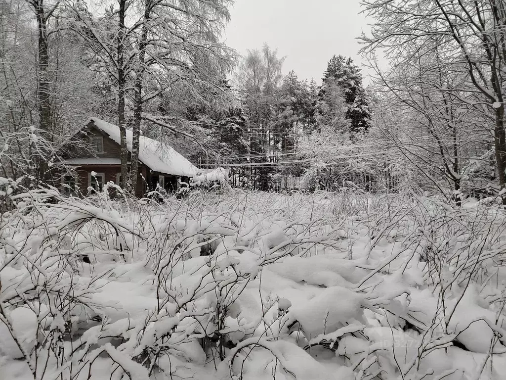 Дом в Ленинградская область, Волховский район, Пашское с/пос, д. ... - Фото 1