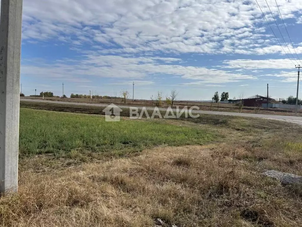 Участок в Белгородская область, Корочанский район, Шляховское с/пос, ... - Фото 2