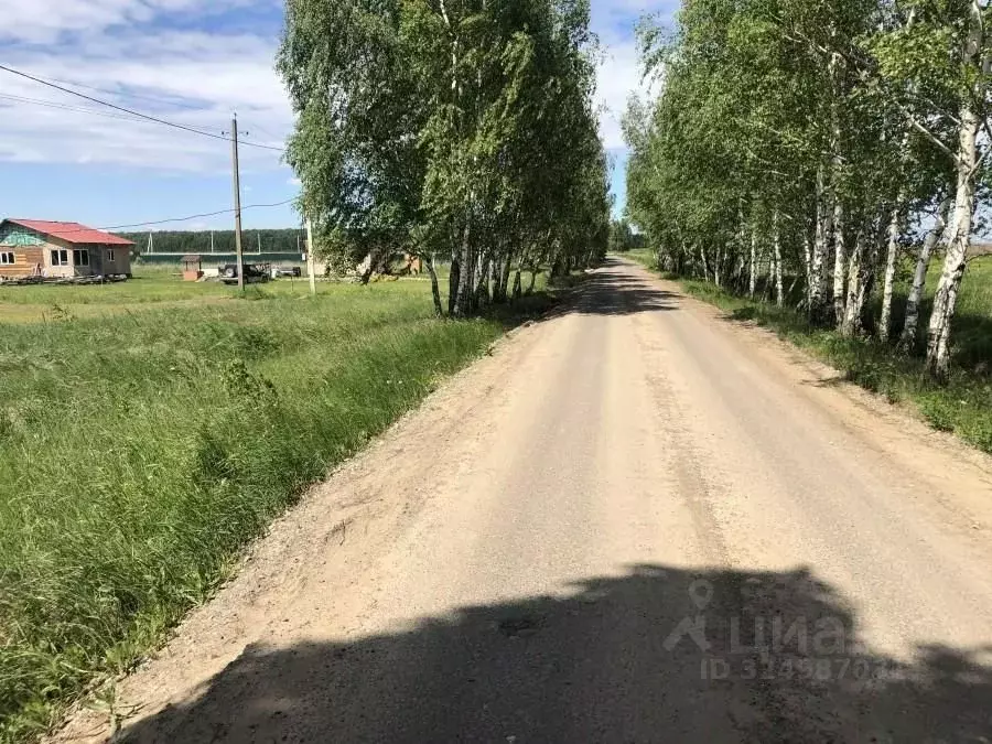 Участок в Московская область, Раменский муниципальный округ, ... - Фото 1