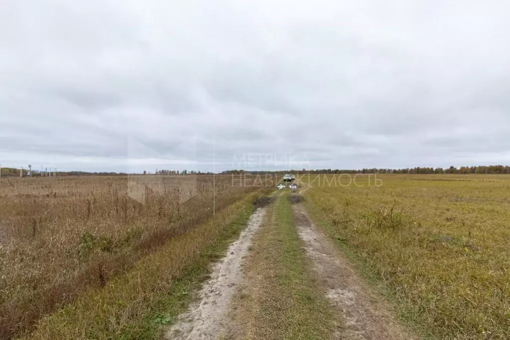 Участок в Тюменская область, Тюмень  (10.69 сот.) - Фото 1