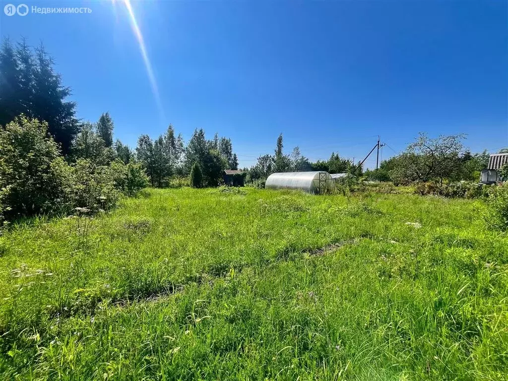 Участок в Ивангородское городское поселение, садоводческое ... - Фото 1