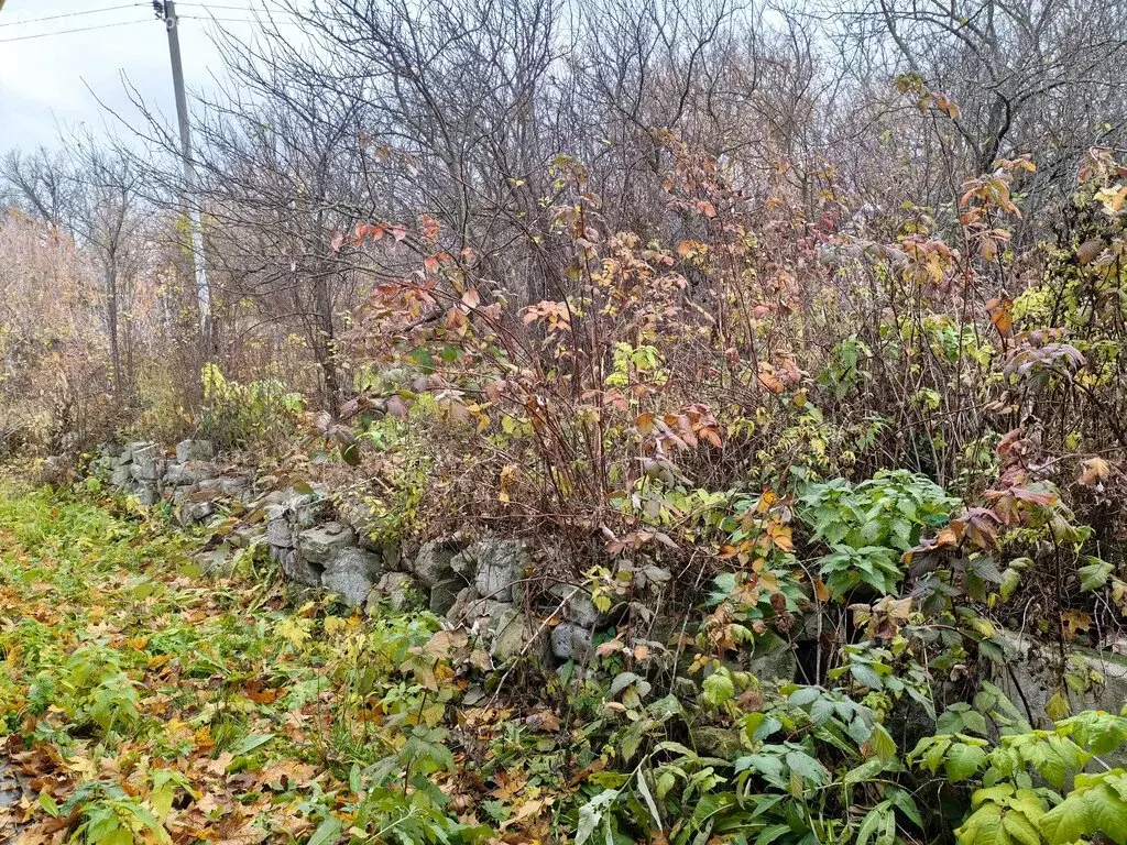 Дом в Лунинский район, село Манторово, улица Свердлова, 120Б (45 м) - Фото 1