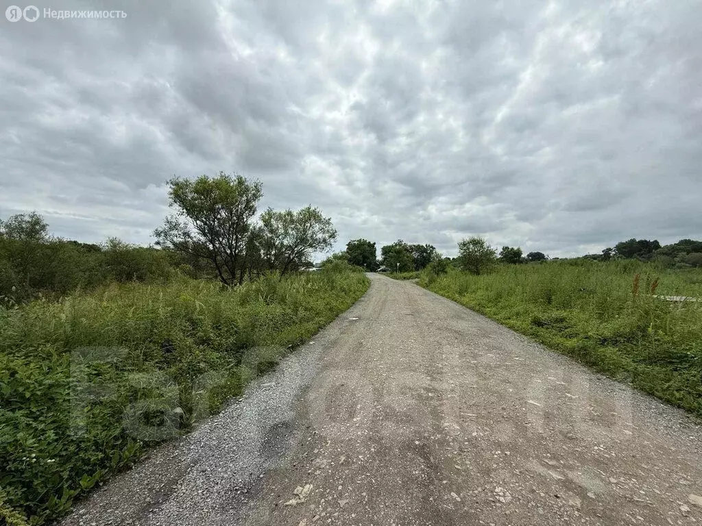 Участок в Артёмовский городской округ, село Кролевцы, Урожайная улица, ... - Фото 1