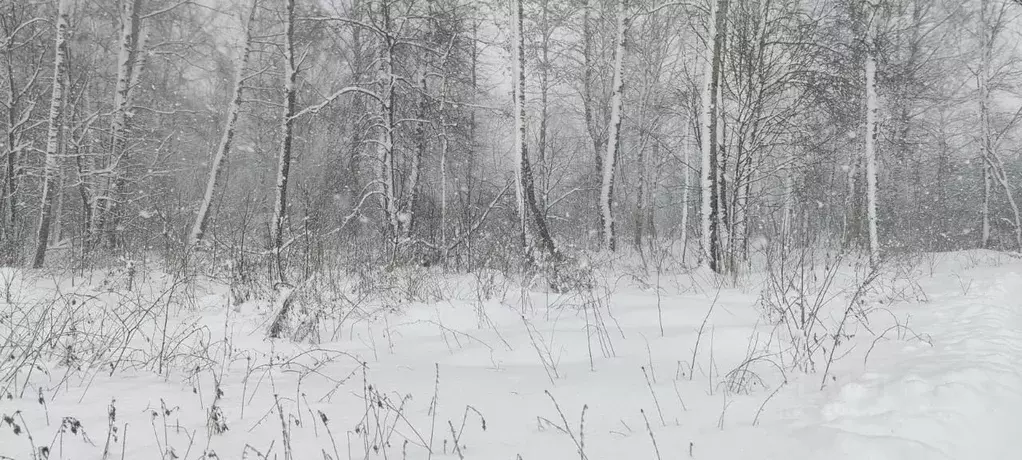 Участок в Московская область, Солнечногорск городской округ, д. ... - Фото 1