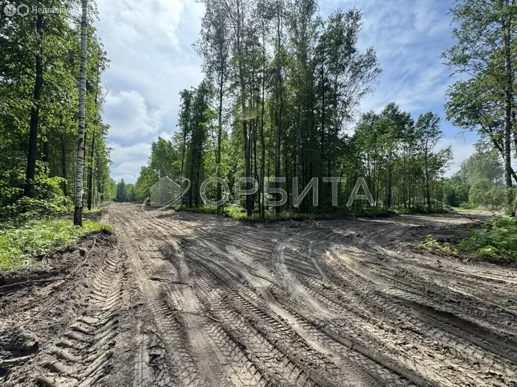 Участок в Нижнетавдинский район, деревня Штакульская (9 м) - Фото 1