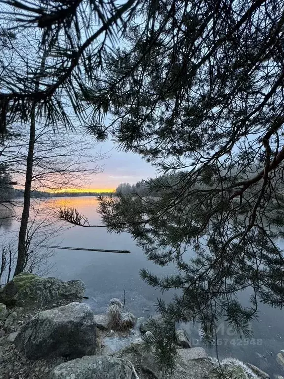 Участок в Ленинградская область, Приозерский район, Кузнечное пгт ... - Фото 1