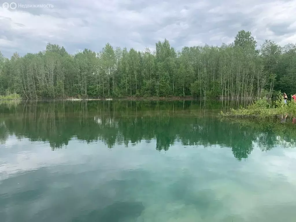 Участок в Пениковское сельское поселение, садоводческое некоммерческое ... - Фото 1