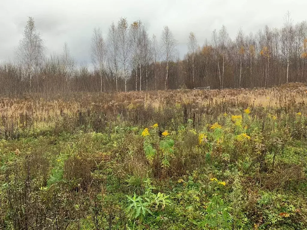 Участок в Нижегородская область, Богородский муниципальный округ, д. ... - Фото 0