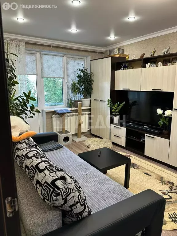 1-комнатная квартира: Омск, улица Дмитриева, 13/1 (36.5 м) - Фото 0
