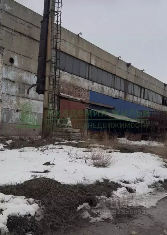 Помещение свободного назначения в Саратовская область, Энгельс ... - Фото 1
