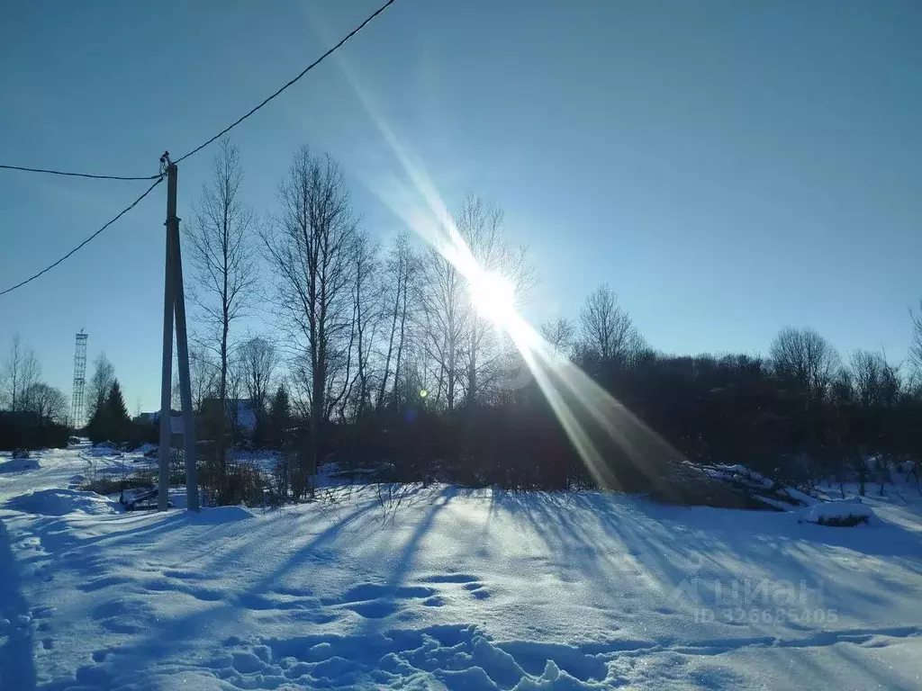 Участок в Псковская область, Остров ул. Энтузиастов (1440.0 сот.) - Фото 1