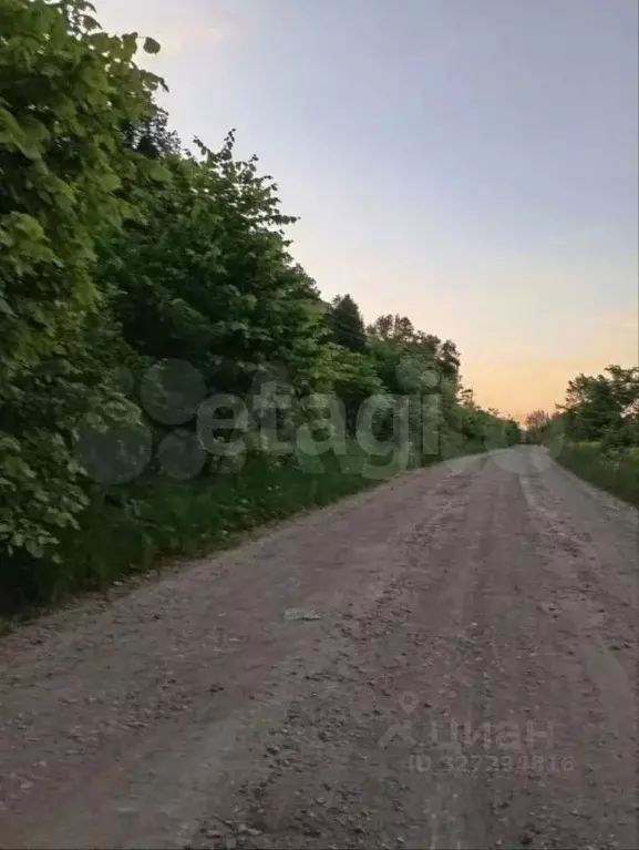 Участок в Башкортостан, Иглинский район, Чуваш-Кубовский сельсовет, ... - Фото 2