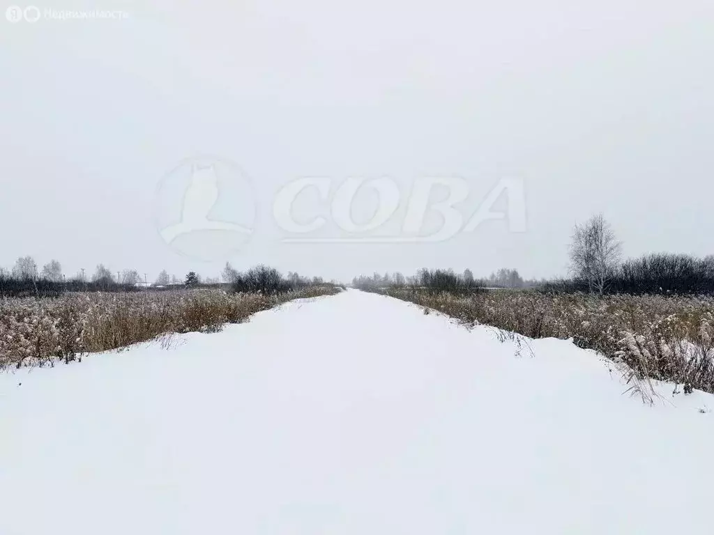 Участок в Тюмень, территория СОСН Солнечная Поляна, улица Поле Чудес ... - Фото 1