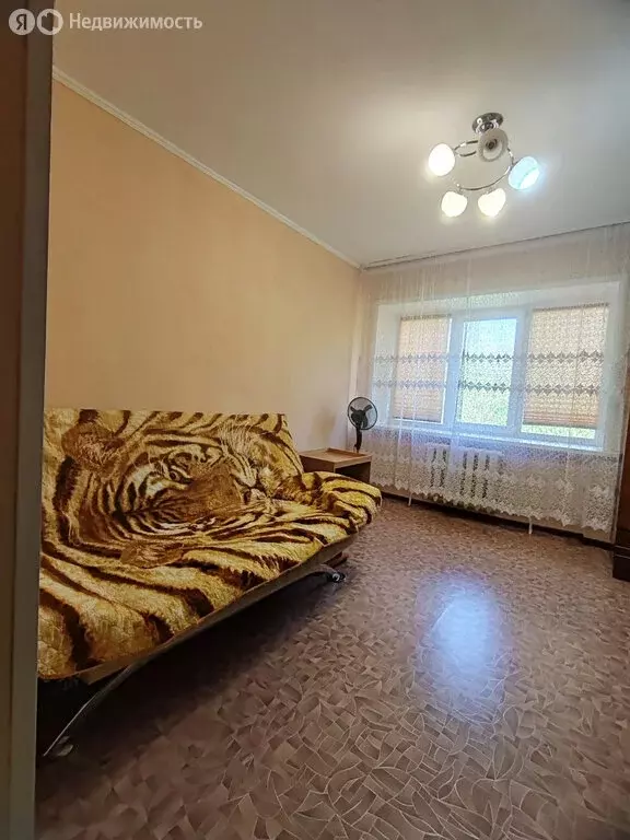 Квартира-студия: Барнаул, улица Малахова, 65 (17.7 м) - Фото 0