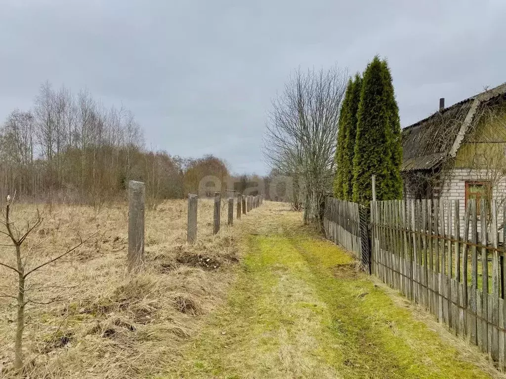 Участок в Псковская область, Печоры Вишенка садовое товарищество,  ... - Фото 1