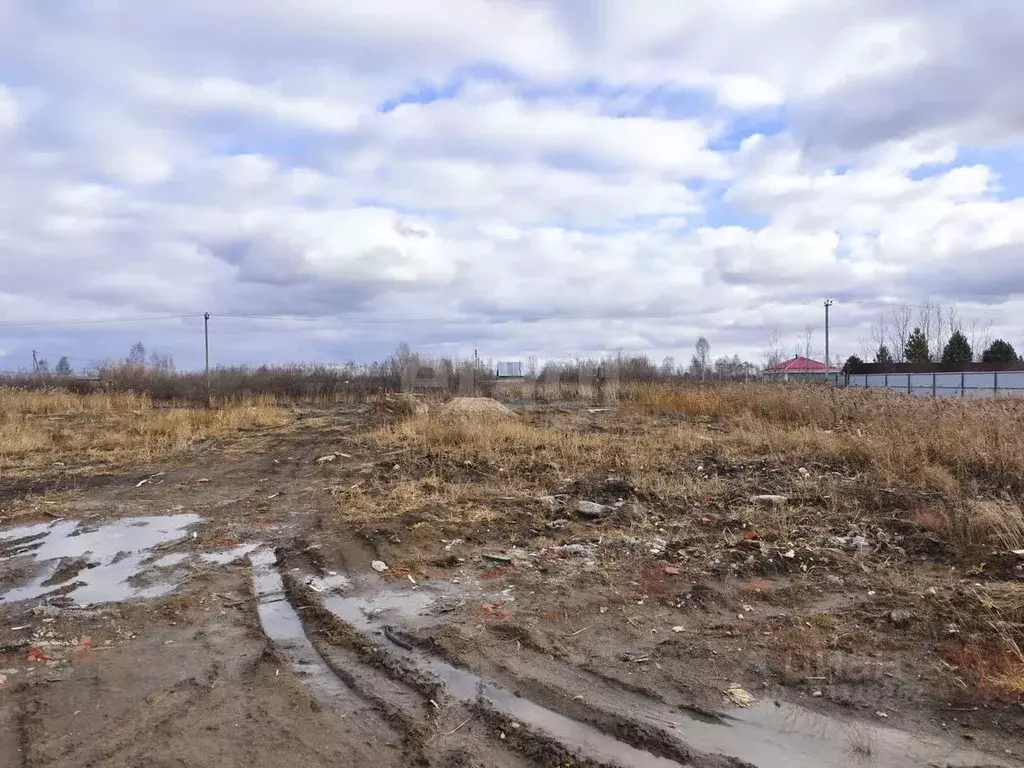 Участок в Тюменская область, Тюмень Поле Чудес садовое товарищество, ... - Фото 1
