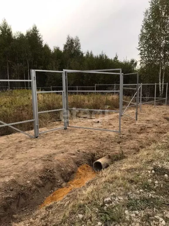 Вишняково Ногинский Район Купить