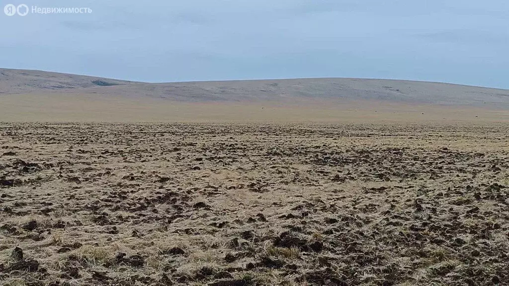Участок в Усть-Абаканский район, село Московское (160 м) - Фото 0