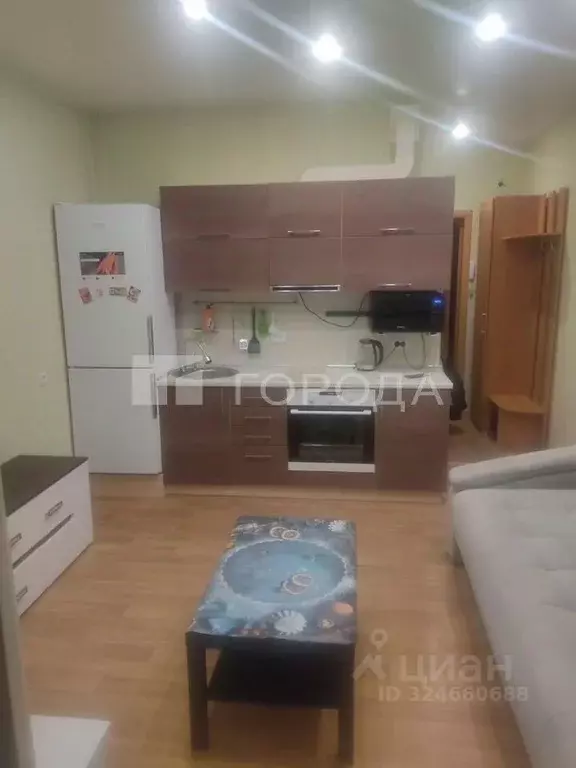 Студия Новосибирская область, Новосибирск ул. Виктора Уса, 11/1 (20.0 ... - Фото 1