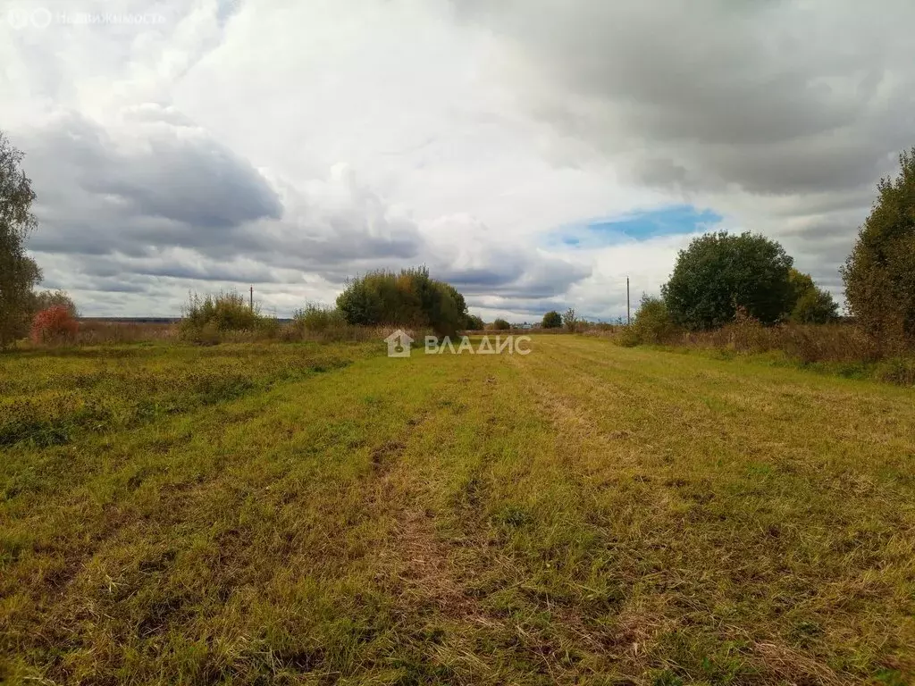Участок в Московская область, муниципальный округ Луховицы, село ... - Фото 2