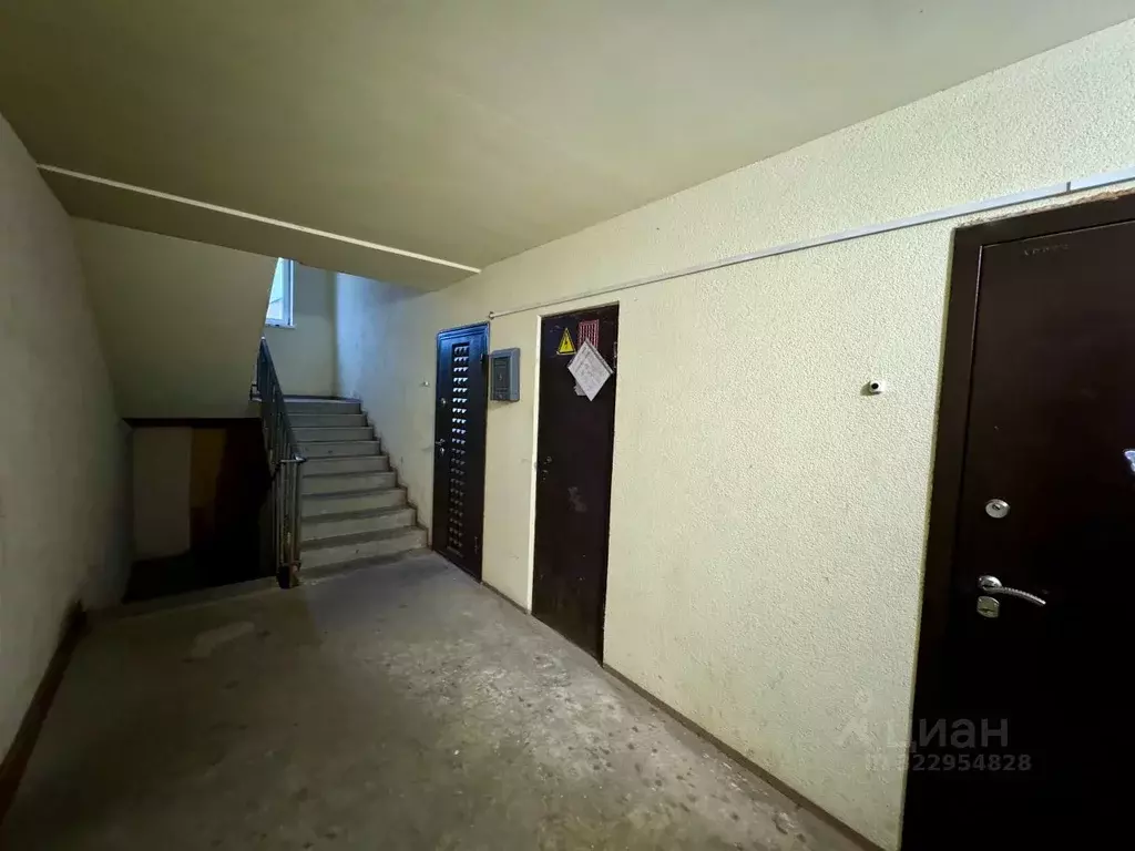 1-к кв. Ленинградская область, Кингисеппский район, Опольевское с/пос, ... - Фото 2