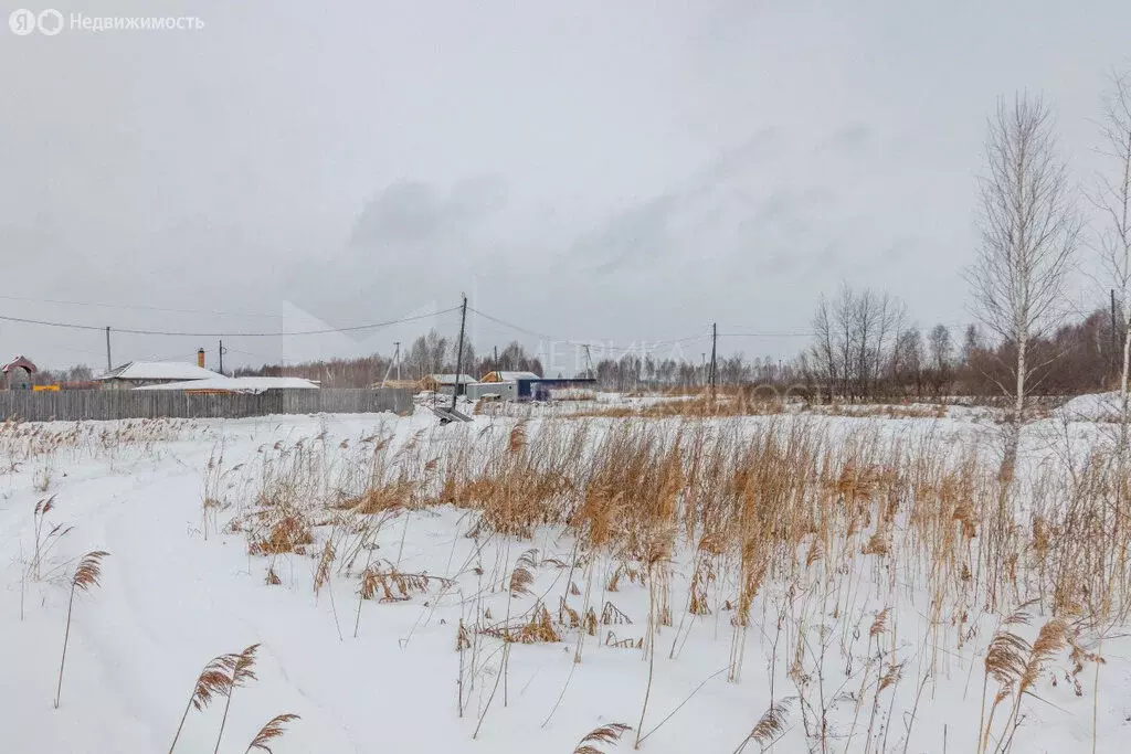 Участок в Нижнетавдинский район, ТСН Строитель, Соловьиная улица (10.1 ... - Фото 0