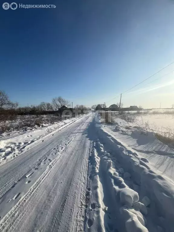 Участок в Амурская область, Благовещенский муниципальный округ, село ... - Фото 1