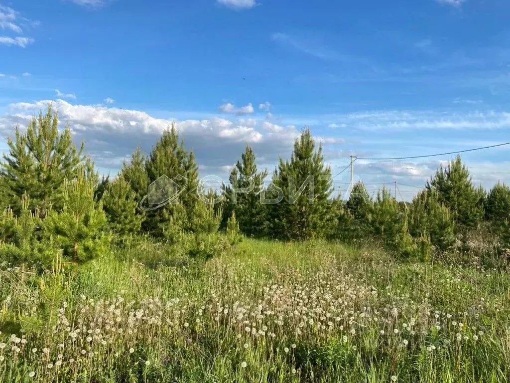 Участок в Тюменская область, Тюменский район, с. Каменка, Подушкино ... - Фото 0