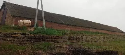 Гараж в Пензенская область, Бессоновский район, с. Александровка ... - Фото 1