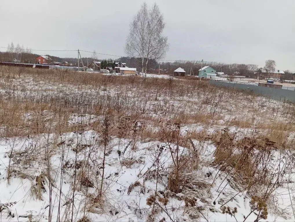 Участок в Московская область, Коломна городской округ, с. Никульское  ... - Фото 0